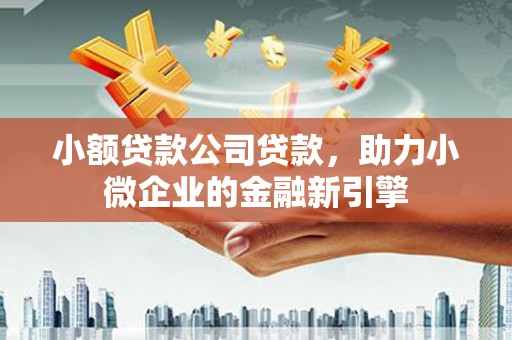 土库小额贷款公司贷款，助力小微企业的金融新引擎
