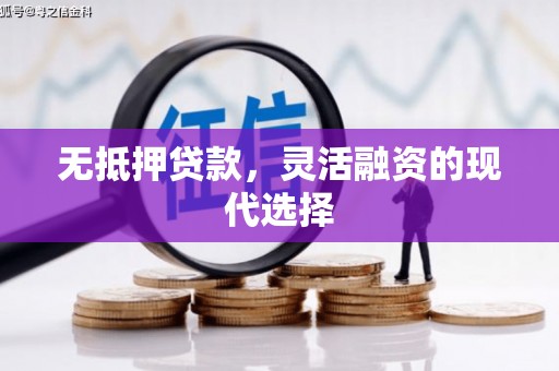 河曲无抵押贷款，灵活融资的现代选择