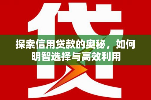 东平探索信用贷款的奥秘，如何明智选择与高效利用