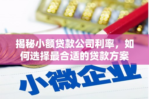 田尾揭秘小额贷款公司利率，如何选择最合适的贷款方案