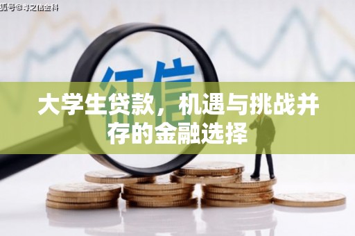 将乐大学生贷款，机遇与挑战并存的金融选择