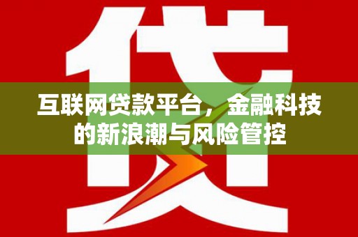 厦门互联网贷款平台，金融科技的新浪潮与风险管控