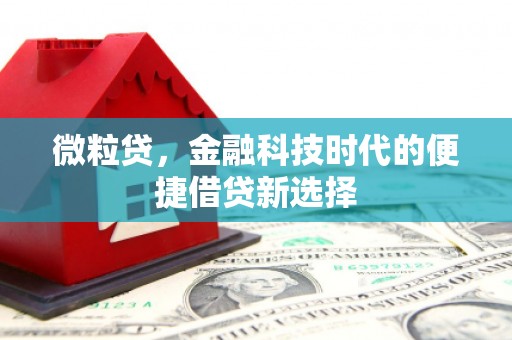 江东微粒贷，金融科技时代的便捷借贷新选择