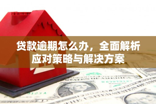 横山贷款逾期怎么办，全面解析应对策略与解决方案