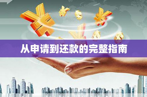 新洲从申请到还款的完整指南