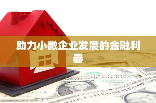 中宁助力小微企业发展的金融利器