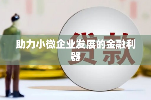 彝良助力小微企业发展的金融利器