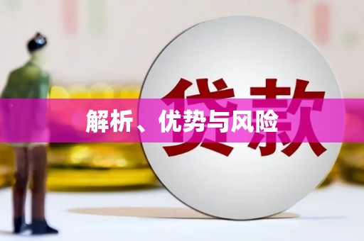 琼结解析、优势与风险