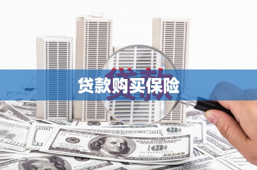 红原贷款购买保险
