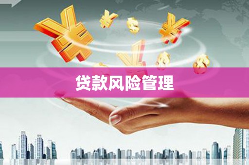 静海贷款风险管理